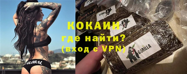 гидра Алексин