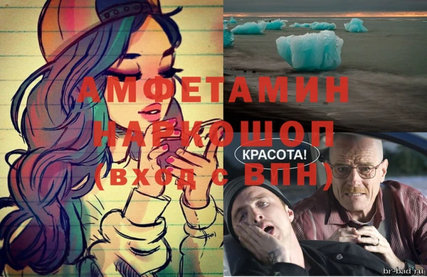 гидра Алексин