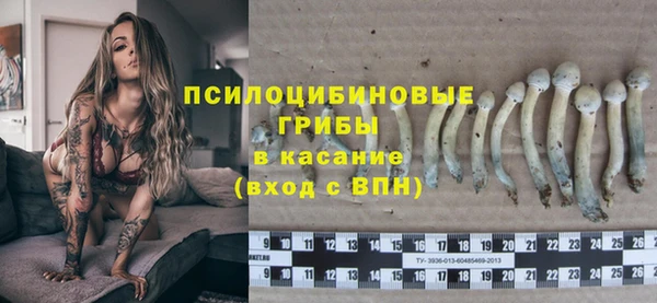 гидра Алексин