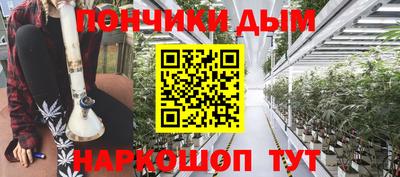 индика Кулебаки